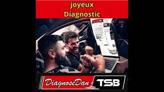 Miniature : Joyeuses fêtes et bon diagnostic