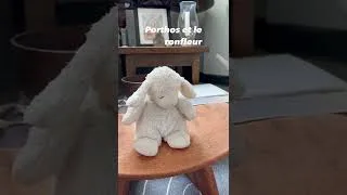 Miniature : Porthos et le ronfleur