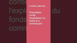 Miniature : Qu'est-ce que la location gérance ?