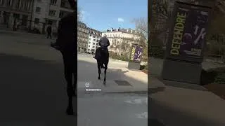 Miniature : Pov: tu te prend pour un cowboy