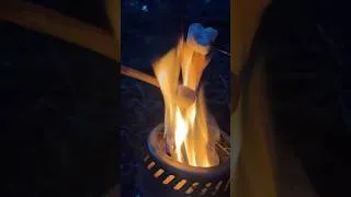 Miniature : CHAMALLOWS GRILLÉS en forêt ! #chamallows #forêt #feudecamp