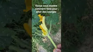 Miniature : 30 juin 2026
