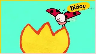 Miniature : Didou, dessine-moi une fleur 🌸 #didou #dessin