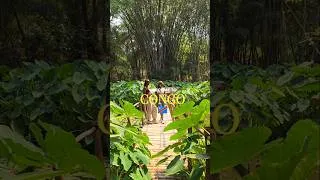 Miniature : MINI VLOG CONGO (RDC) 🇨🇩🔥 : COME VISIT ✌🏾✈️