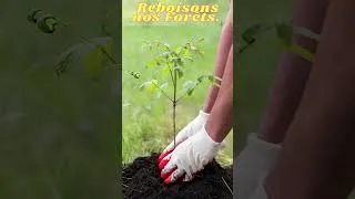 Miniature : protection environnement