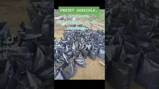 Miniature : projet agricole.