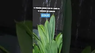 Miniature : Première grande pluie de l'année 2026 à 00h30