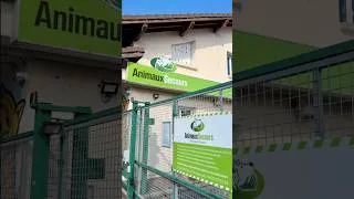 Miniature : SPA Genève - Refuge de l’Espoir Animaux-Secours Arthaz