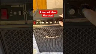 Miniature : AURACAST CHEZ MARSHALL