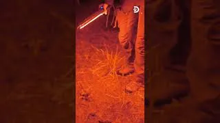 Miniature : La preuve de l’existence du Bigfoot se cache-t-elle au bout de cette piste ? 🔦