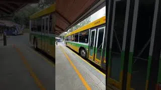 Miniature : Valider les temps d'attente des transports de votre hôtel Disney