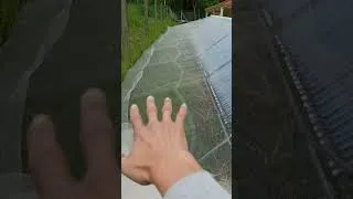 Miniature : Panneaux solaire et filet anti grele