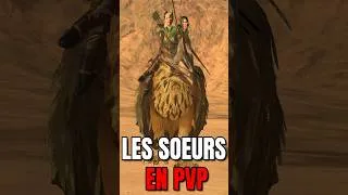 Miniature : COMMENT JOUER LES SŒURS DU CRÉPUSCULE EN PVP CHEZ LES ELFES SYLVAINS !  #warhammer3 #warhammer