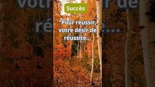 Miniature : Les citations qui changent - Le succès