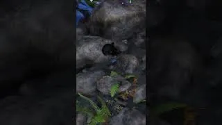 Miniature : Avatar : Une Na'vi joue à cache-cache, mais je la vois quand même...  😁