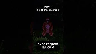 Miniature : POV : T'ACHÈTE UN CHIEN AVEC L'ARGENT HARAM !!! 😱💀