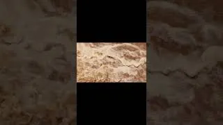 Miniature : Catastrophes naturelles en Somalie