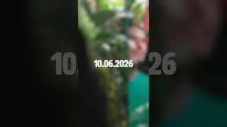Miniature : Un nouveau grand projet arrive sur YouTube…⏳💎🌿