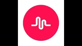 Miniature : Mon premier musical.ly