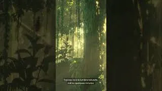 Miniature : Un reflexe du matin pour te réveiller naturellement