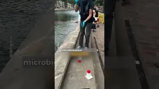 Miniature : Et toi, tu te baignerais dans le canal  Saint-Martin ? 👀 #dermato