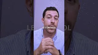 Miniature : Le cortisol