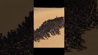 Miniature : Comparaison Express des Combats de Pharaoh et Total warhammer #totalwar #pharaoh