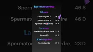 Miniature : 🔴 La méthode ULTIME pour mémoriser la spermatogenèse en 2 min !
