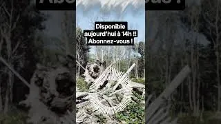 Miniature : Abonnez-vous à la chaîne Youtube Draxo_Off !! #draxo_off #shortvideo #nature #biodiversity #youtube