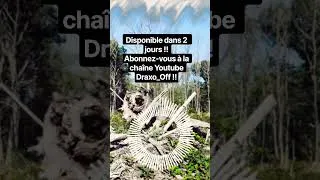 Miniature : Agissons pour la biodiversité !! Forêt en déclin mais pas sans espoir !! #draxo_off#shortvideo#music