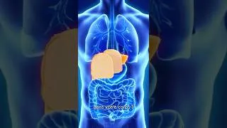 Miniature : Un foie gras humain ?? 😳￼