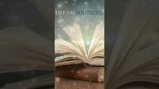 Miniature : le guerrier de la lumière #paulocoelho