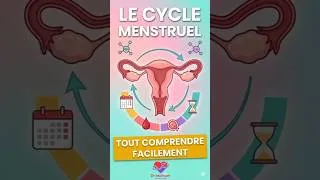Miniature : Le Cycle Menstruel Expliqué Facilement | Hormones, Ovulation et Règles #santé #corpshumain