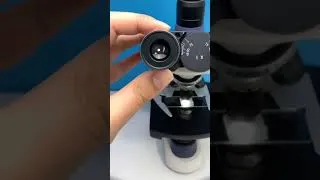 Miniature : 😱😱😱😱🔬🔬🔬🤢. . .. . . .. . . . . #fyp #microscope #undermicroscope #reels #microscopy