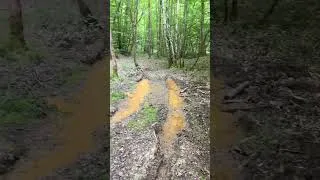 Miniature : Un peu gras l’histoire ! #moto #triumph #motoroffroad #trail #tiger900 #tiger900rallypro #tet #gras