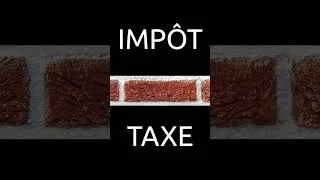 Miniature : Quelle différence entre taxe et impôt?