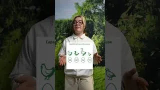 Miniature : DUCATILLON VOUS PRÉSENTE LA COUVITECH PRO 68 ŒUFS !
