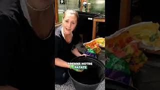 Miniature : Pas besoin d'un jardin pour cultiver vos propres patates. 🥔