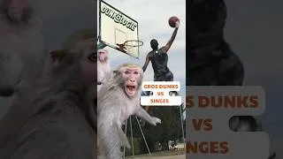 Miniature : 💥 Camp de DUNKS à Nantes le  27 juin (79€). Pour plus d'infos, envoie CAMP en DM ou commentaire