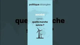 Miniature : Revue Politique Étrangère IFRI