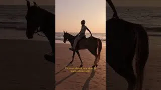 Miniature : T’avais déjà vu ça ?! 🐴💞