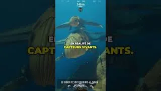 Miniature : CE LEVIATHAN CACHE QUELQUE CHOSE