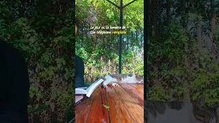 Miniature : La vrai mort
