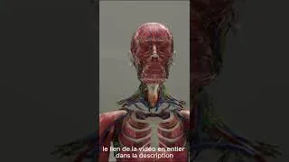 Miniature : greffe de tete avec des robots