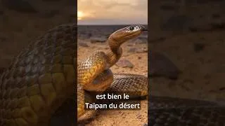 Miniature : Le serpent le plus venimeux #shorts #youtubeshorts #science #nature