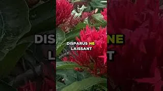 Miniature : Mon père a grommelé : « Si tu disparaissais demain, cette maison ne s'effondrerait pas ! »