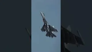 Miniature : Le Spectre Russe Su-35 en service en Algérie