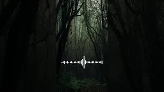 Miniature : Ambiance Immersive "Mystère Silencieux" - Composition Originale + Sound Design