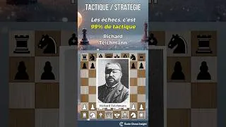 Miniature : Les échecs, 99% tactique ? Vraiment ?