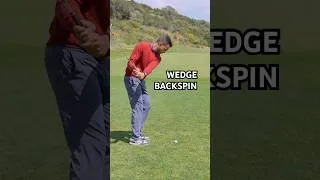 Miniature : Wedge bas avec du spin